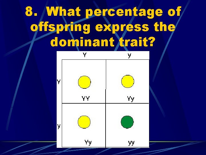 8. What percentage of offspring express the dominant trait? 