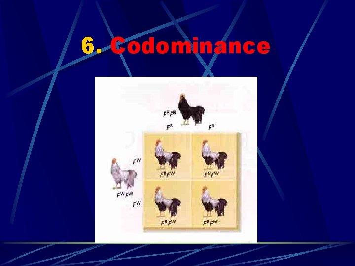 6. Codominance 