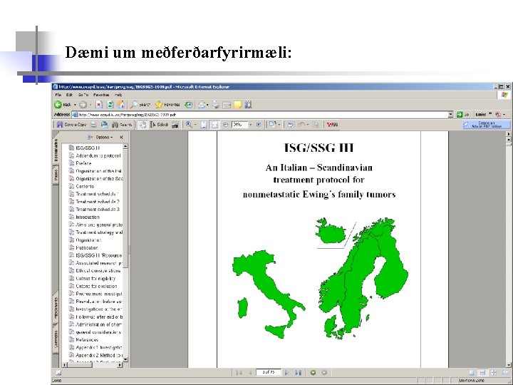 Dæmi um meðferðarfyrirmæli: 