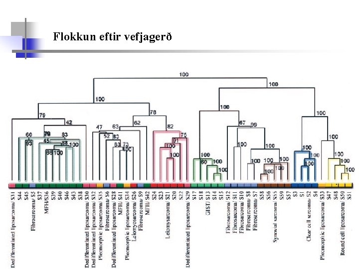 Flokkun eftir vefjagerð 