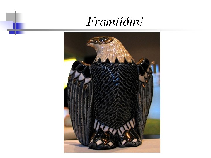 Framtíðin! 