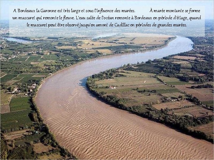 A Bordeaux la Garonne est très large et sous l'influence des marées. À marée