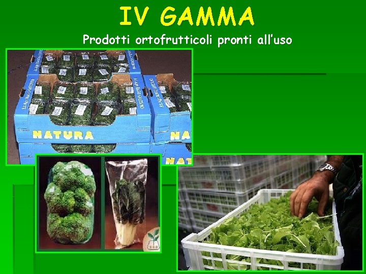 IV GAMMA Prodotti ortofrutticoli pronti all’uso 