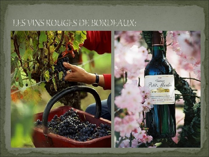 LES VINS ROUGES DE BORDEAUX: 