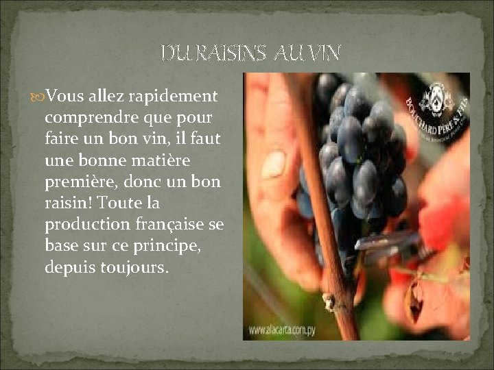  DU RAISINS AU VIN Vous allez rapidement comprendre que pour faire un bon
