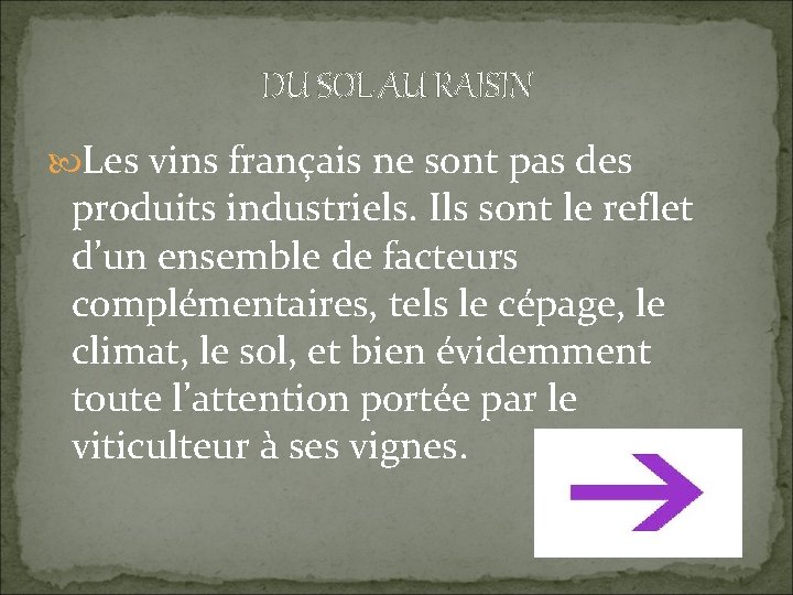 DU SOL AU RAISIN Les vins français ne sont pas des produits industriels. Ils