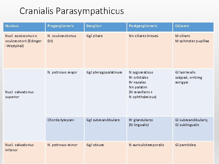 Cranialis Parasympathicus Nucleus Preganglionaris Ganglion Postganglionaris Célszerv Nucl. accessorius n. oculomotorii (Edinger -Westphal) N.