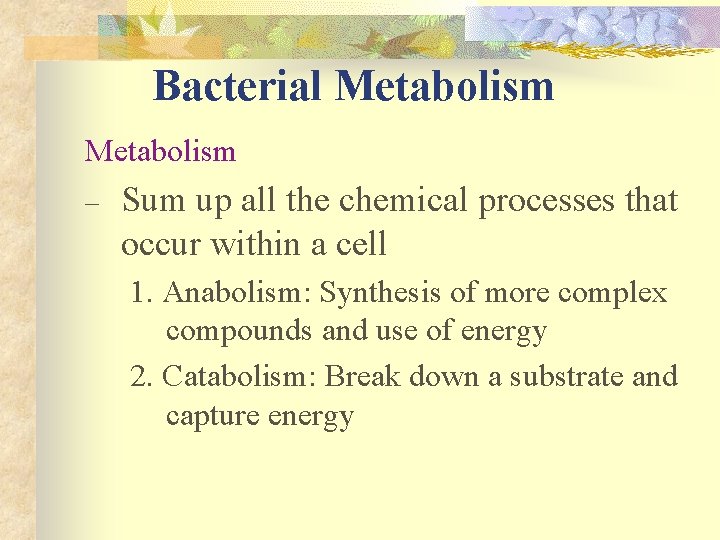 Bacterial Metabolism – Sum up all the chemical processes that occur within a cell