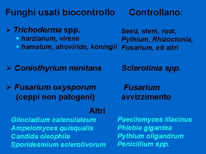 Funghi usati biocontrollo Controllano: Ø Trichoderma spp. Seed, stem, root, § harzianum, virens Pythium,