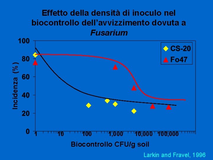 Incidenza (%) Effetto della densità di inoculo nel biocontrollo dell’avvizzimento dovuta a Fusarium 1