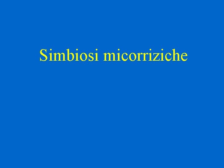 Simbiosi micorriziche 
