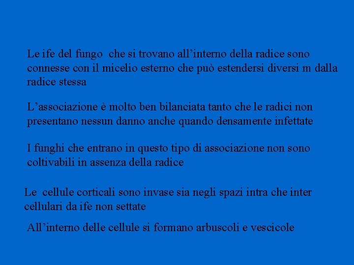 Le ife del fungo che si trovano all’interno della radice sono connesse con il