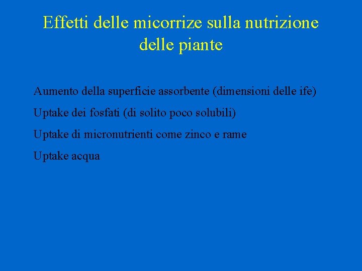 Effetti delle micorrize sulla nutrizione delle piante Aumento della superficie assorbente (dimensioni delle ife)