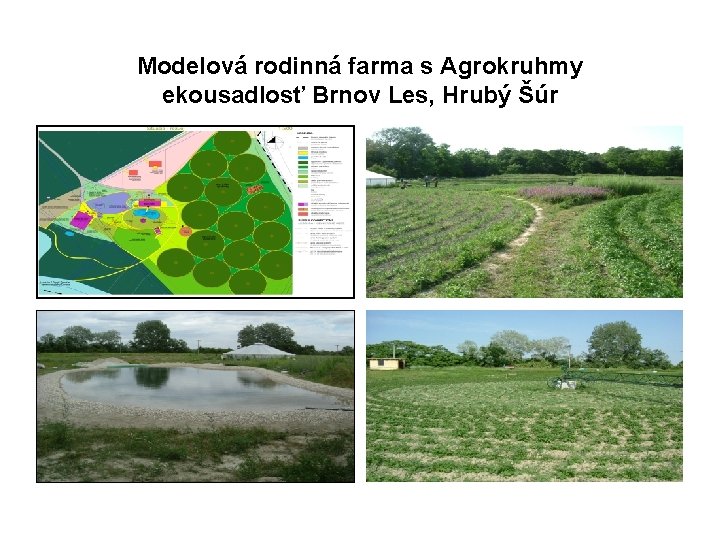 Modelová rodinná farma s Agrokruhmy ekousadlosť Brnov Les, Hrubý Šúr 