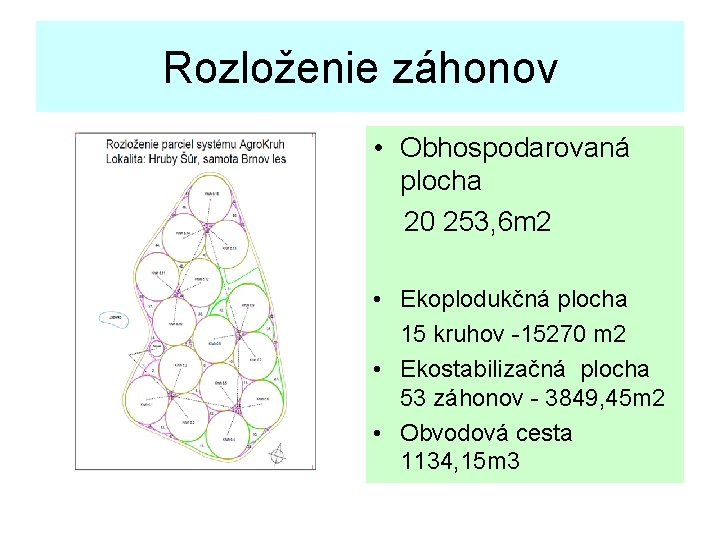 Rozloženie záhonov • Obhospodarovaná plocha 20 253, 6 m 2 • Ekoplodukčná plocha 15