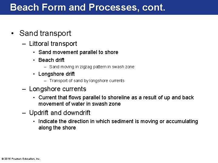 Beach Form and Processes, cont. • Sand transport – Littoral transport • Sand movement