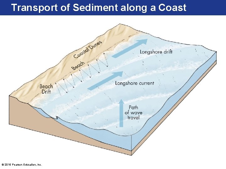 Transport of Sediment along a Coast © 2015 Pearson Education, Inc. 