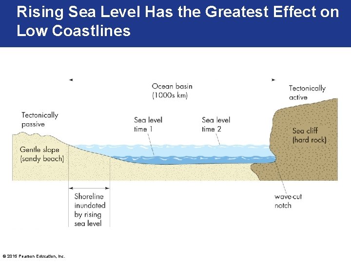 Rising Sea Level Has the Greatest Effect on Low Coastlines © 2015 Pearson Education,