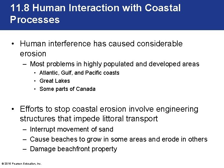 11. 8 Human Interaction with Coastal Processes • Human interference has caused considerable erosion