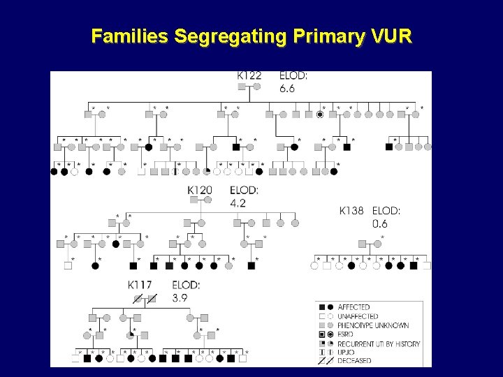 Families Segregating Primary VUR Families Segregating Primary VUR