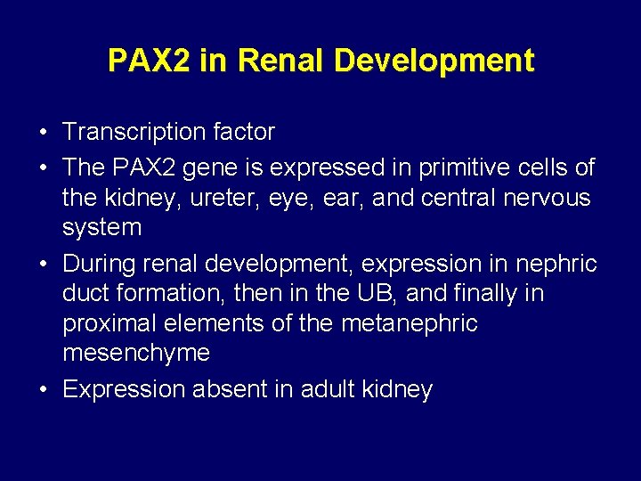 PAX 2 in Renal Development • Transcription factor • The PAX 2 gene is PAX 2 in Renal Development • Transcription factor • The PAX 2 gene is