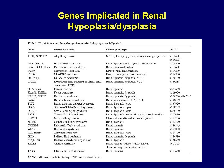 Genes Implicated in Renal Hypoplasia/dysplasia Genes Implicated in Renal Hypoplasia/dysplasia