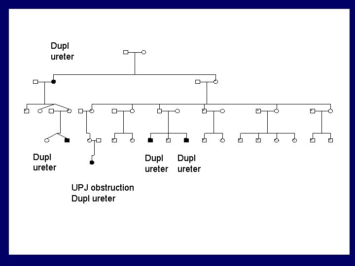 Dupl ureter ? ? ? Dupl ureter ? ? Dupl ureter UPJ obstruction Dupl Dupl ureter ? ? ? Dupl ureter ? ? Dupl ureter UPJ obstruction Dupl