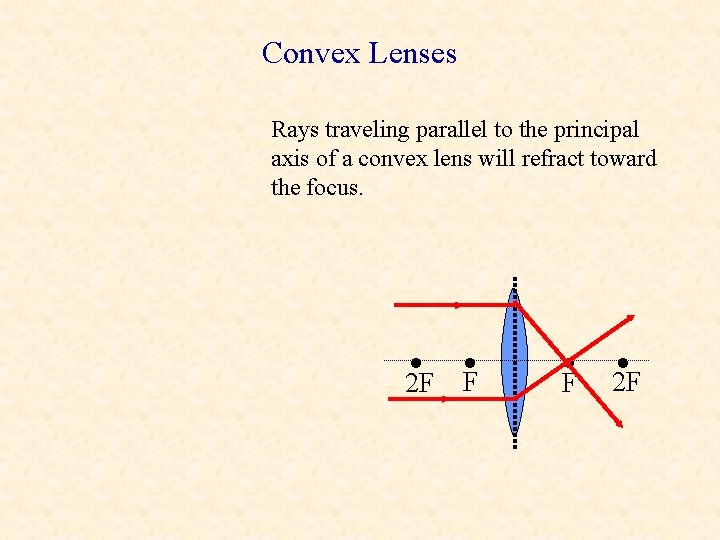 Convex Lenses Rays traveling parallel to the principal axis of a convex lens will