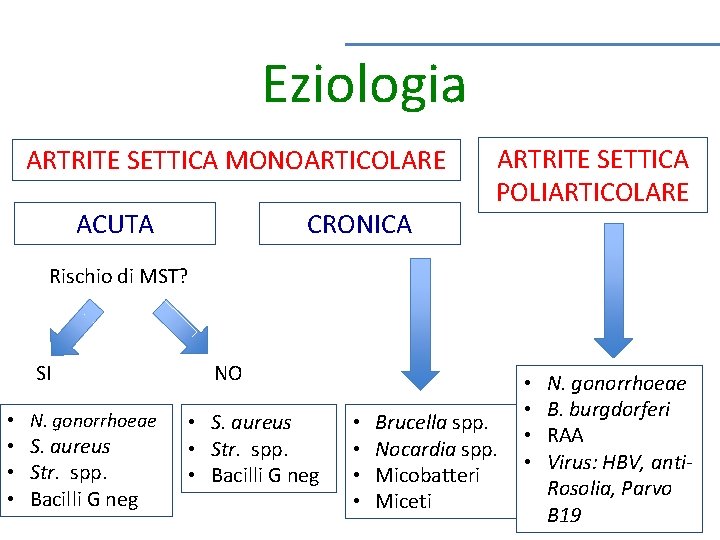 Eziologia ARTRITE SETTICA MONOARTICOLARE ACUTA CRONICA ARTRITE SETTICA POLIARTICOLARE Rischio di MST? SI •