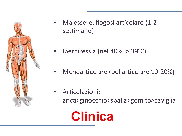  • Malessere, flogosi articolare (1 -2 settimane) • Iperpiressia (nel 40%, > 39°C)