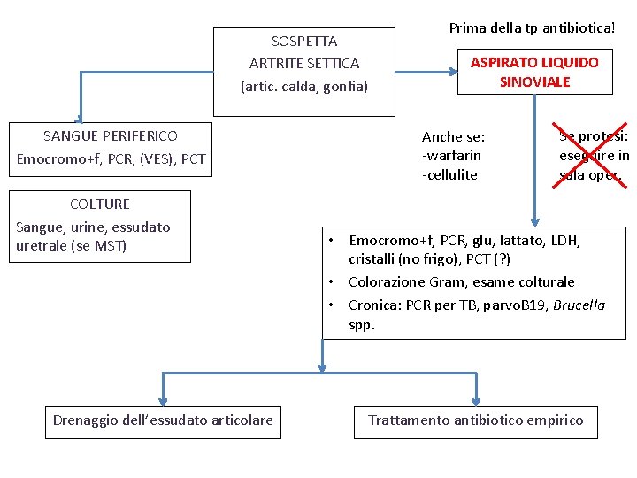 SOSPETTA ARTRITE SETTICA (artic. calda, gonfia) SANGUE PERIFERICO Emocromo+f, PCR, (VES), PCT COLTURE Sangue,