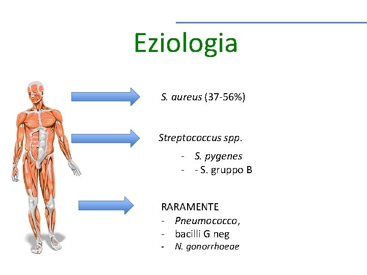 Eziologia S. aureus (37 -56%) Streptococcus spp. - S. pygenes - - S. gruppo