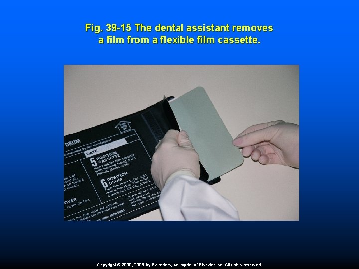 Fig. 39 -15 The dental assistant removes a film from a flexible film cassette.