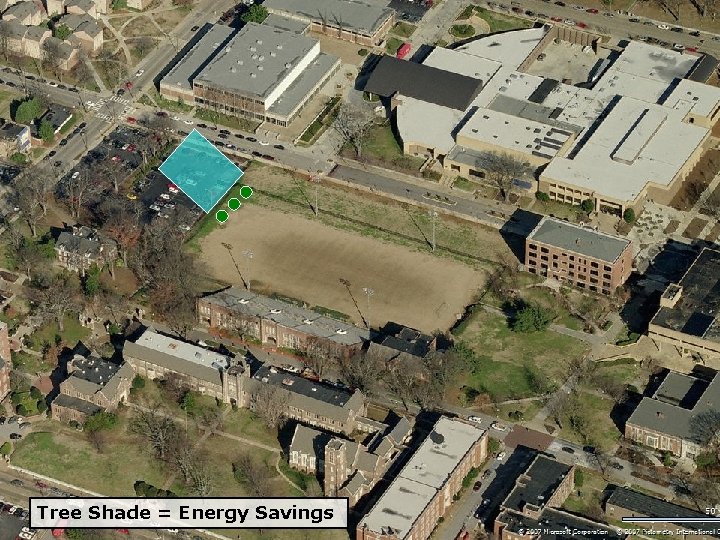 Tree Shade = Energy Savings 
