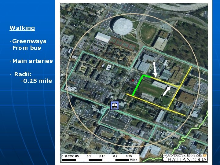 Walking -Greenways -From bus -Main arteries - Radii: -0. 25 mile 