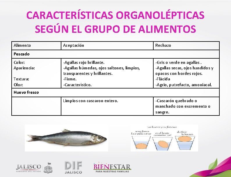 SELECCIN PREPARACIN Y CONSUMO DE ALIMENTOS FRUTAS VERDURAS