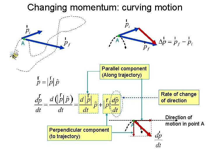 Changing momentum: curving motion A A Parallel component (Along trajectory) Rate of change of