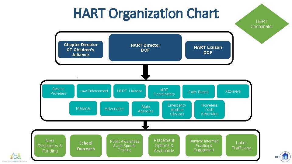 HART Organization Chart Chapter Director CT Children’s Alliance Service Providers Law Enforcement Medical New