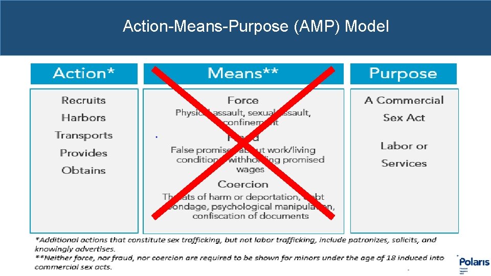 Action-Means-Purpose (AMP) Model 