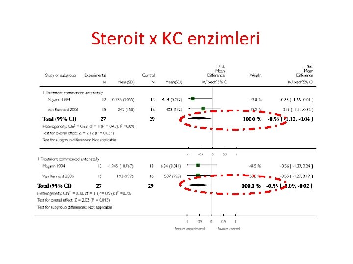 Steroit x KC enzimleri 