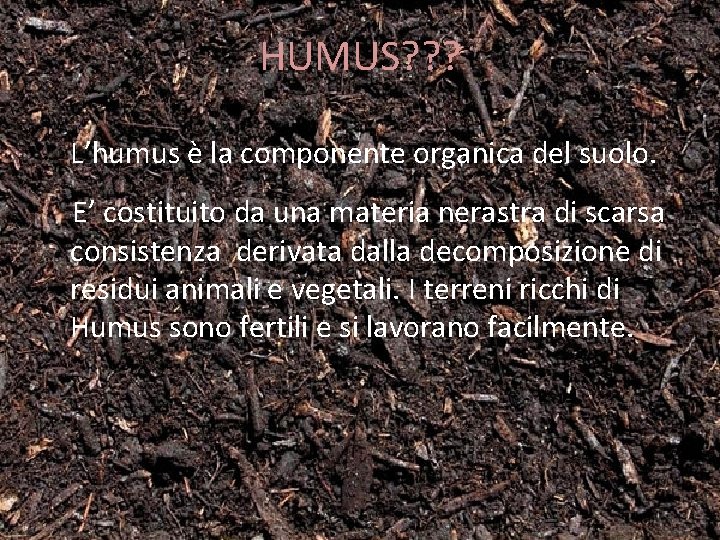 HUMUS? ? ? • L’humus è la componente organica del suolo. E’ costituito da