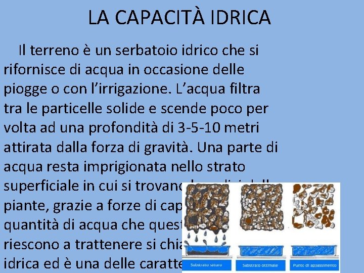 LA CAPACITÀ IDRICA Il terreno è un serbatoio idrico che si rifornisce di acqua