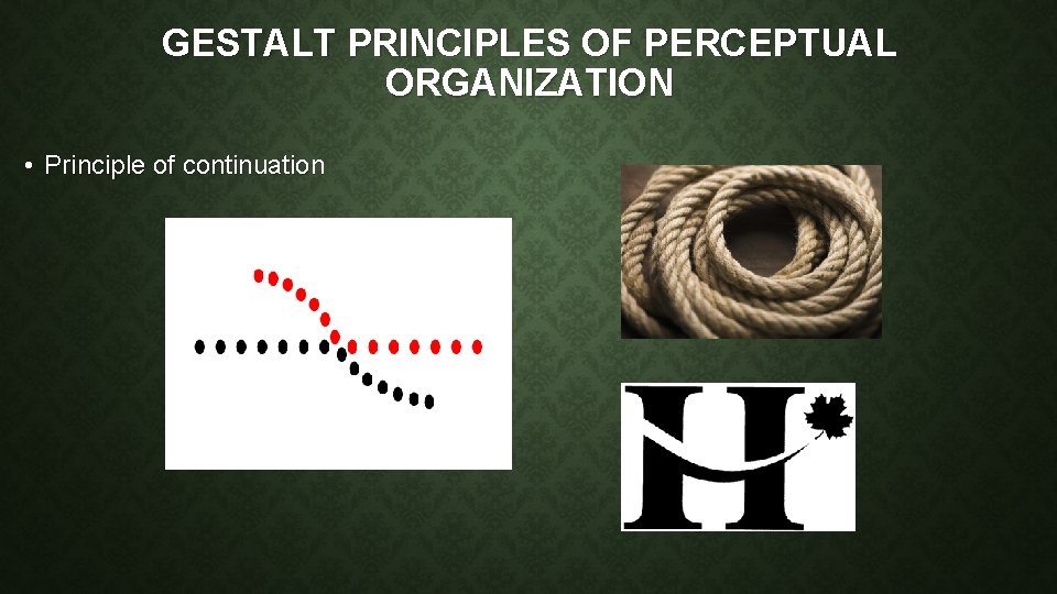 GESTALT PRINCIPLES OF PERCEPTUAL ORGANIZATION • Principle of continuation 