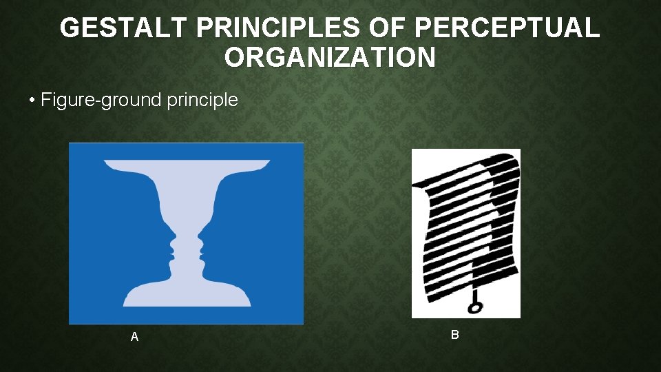 GESTALT PRINCIPLES OF PERCEPTUAL ORGANIZATION • Figure-ground principle A B 