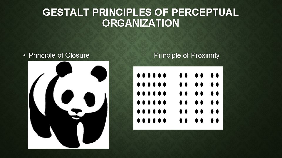 GESTALT PRINCIPLES OF PERCEPTUAL ORGANIZATION • Principle of Closure Principle of Proximity 