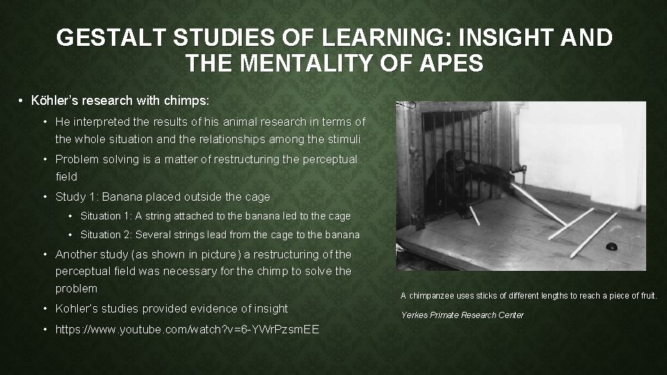 GESTALT STUDIES OF LEARNING: INSIGHT AND THE MENTALITY OF APES • Köhler’s research with