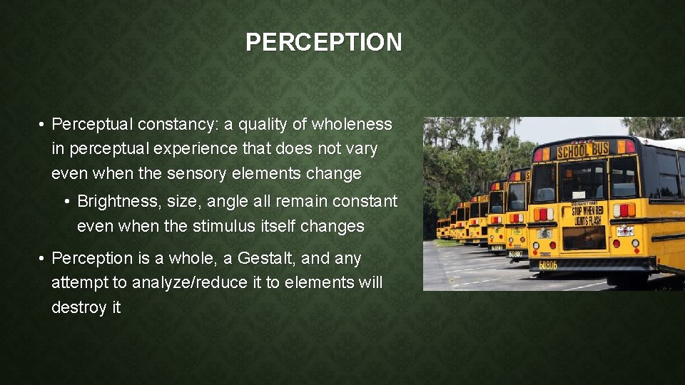 PERCEPTION • Perceptual constancy: a quality of wholeness in perceptual experience that does not