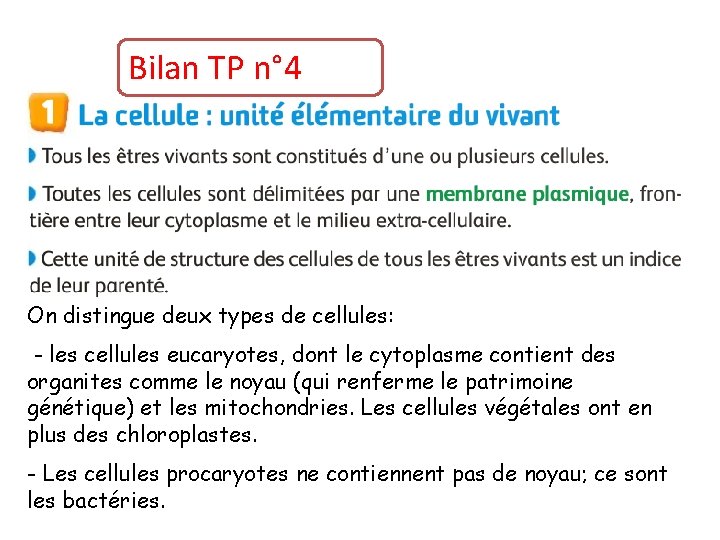 Bilan TP n° 4 On distingue deux types de cellules: - les cellules eucaryotes,