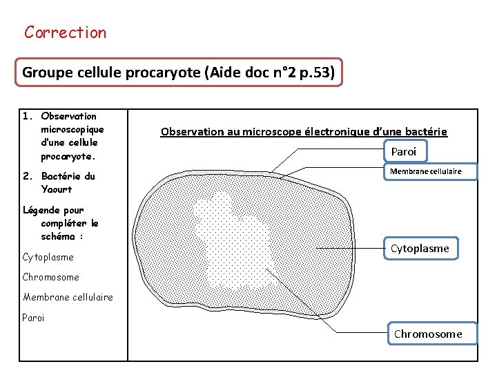 Correction Groupe cellule procaryote (Aide doc n° 2 p. 53) 1. Observation microscopique d’une