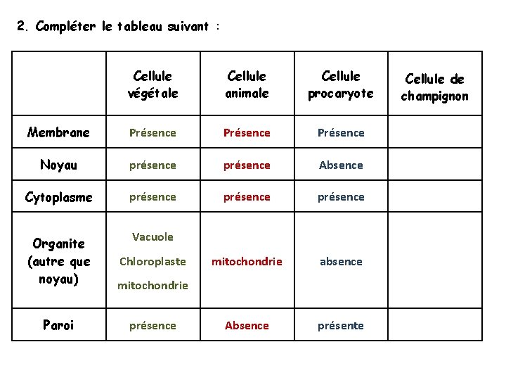 2. Compléter le tableau suivant : Cellule végétale Cellule animale Cellule procaryote Membrane Présence